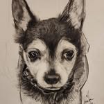 Alan Corbett - @alanfineartist - Instagram