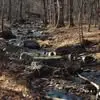 Alan Fine - @alan.fine - TikTok