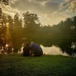 Alan Flamer - @alan_flamer - Instagram