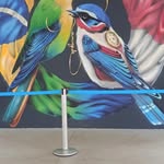 Jonas Silva - @alan.flamengo88 - Instagram