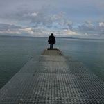 Allan Fleischman - @allanfleischman - Instagram