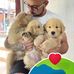 Allen Fisher - Facebook