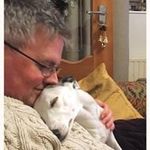 Alan Forrest - @alforrest72 - Instagram