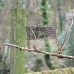 alan forsyth - @cumbriaclick.photography - Instagram