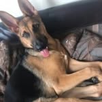 alan fowler - @alan.fowler69 - Instagram