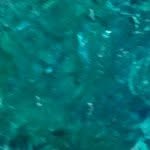 Alan Fraley - @the_fraley_ - Instagram