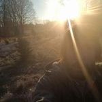 Alan Frazier - @alanfrazier - Instagram