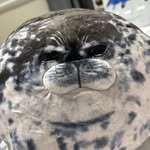 Alan Gajewski - @alan_gajewaki - Instagram