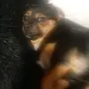 alanzagajewski - @alanzagajewski1 - TikTok