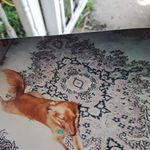 Alan Garrison - @alan.garrison.2021 - Instagram