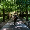 Alan Giang - @alandotjpeg - TikTok