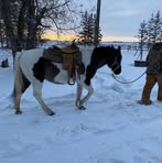 Alan Gillis - Facebook