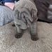 Alan Gilman - Facebook
