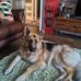 Alan Goldie - Facebook