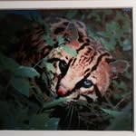 Alan Goldstein - @goldstein.alan - Instagram