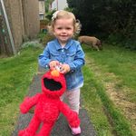 Alan Gourley - @alan.gourley3 - Instagram