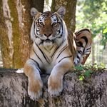 Alan Granbacka - @alangranbacka031955 - Instagram
