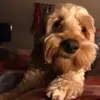 ALAN GREGG - @alan.gregg3 - TikTok