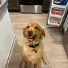 greggalan - @greggalan - TikTok