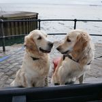 Alan Grubb - @sparkie_retired - Instagram