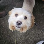 Alan Grubb - @grubb8760 - Instagram