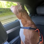 Alan Grubb - @number1grubby - Instagram