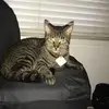 alangrubbs39 - @alangrubbs39 - TikTok
