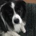 Allan Grubb - Facebook