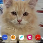 Alan Guan - @meguan7377 - Instagram