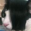 alan_gwynn - @alan_gwynn - TikTok