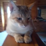 Alan Shafer - @alan_shafer1276 - Instagram