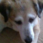 Alan Hale - @ahale220951 - Instagram
