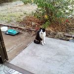 Alan Halliday - @alan.halliday.775 - Instagram