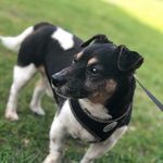 Alan Robert Halliday - @alan.r.halliday.3 - Instagram