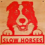 Alan Hanna - @slow_horses_dogs - Instagram
