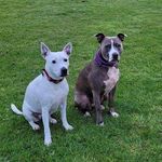 @harker_alan - Instagram