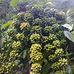 Alan Hartono - Facebook