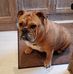 Allen Hazlehurst - Facebook