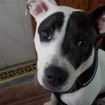 Alan Hendrickson - @alan_hendrickson00 - Instagram