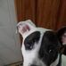 Alan Hendrickson - Facebook