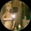 alanheredia378 - @alanheredia378 - TikTok