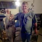 Alan Hewitt - Facebook