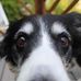 Alan Hobbs - Facebook