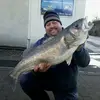 Alan Hobbs - @alan.hobbs5 - TikTok