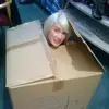 alanahocking1 - @alanahocking1 - TikTok