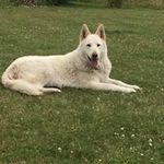 Alan Hogan - @hogan6541 - Instagram