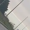 Alanna Hogan - @alanna.hogan2 - TikTok