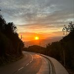Alan Hoppe - @alanik1230 - Instagram