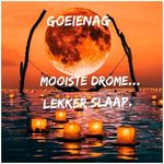 alan horst hillmann - @alan20062020 - Instagram
