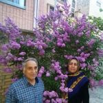 Sadat - @sadat.hoseyni110.balani - Instagram